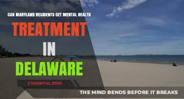 Exploring Cross-State Mental Health Care: Maryland and Delaware