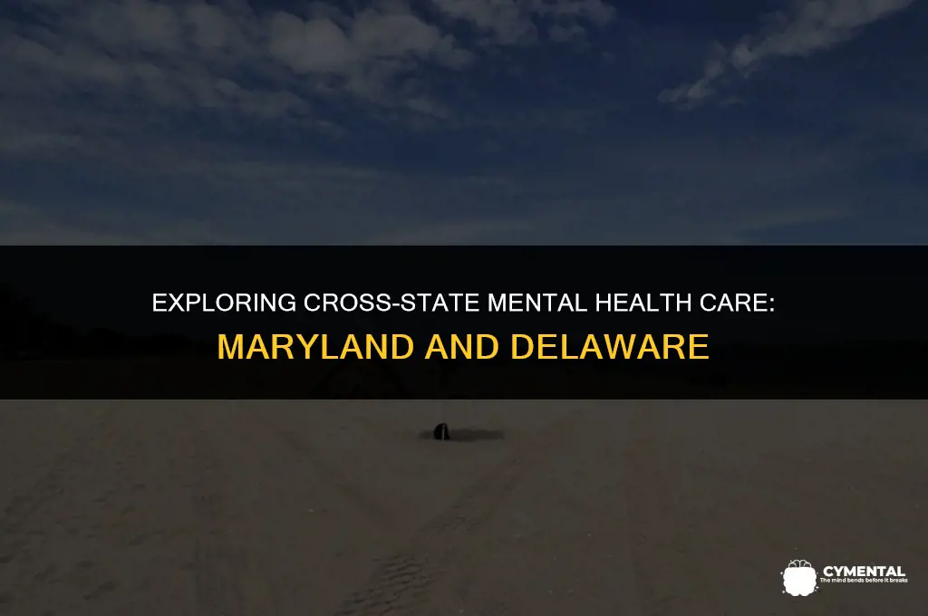 can maryland residents get mental health treatment in delaware