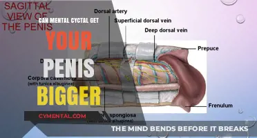 Exploring the Myth: Can Mental Exercises Enlarge Your Penis?