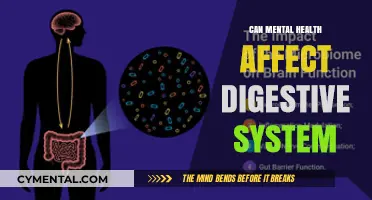 Exploring the Gut-Brain Connection: Mental Health's Impact on Digestion