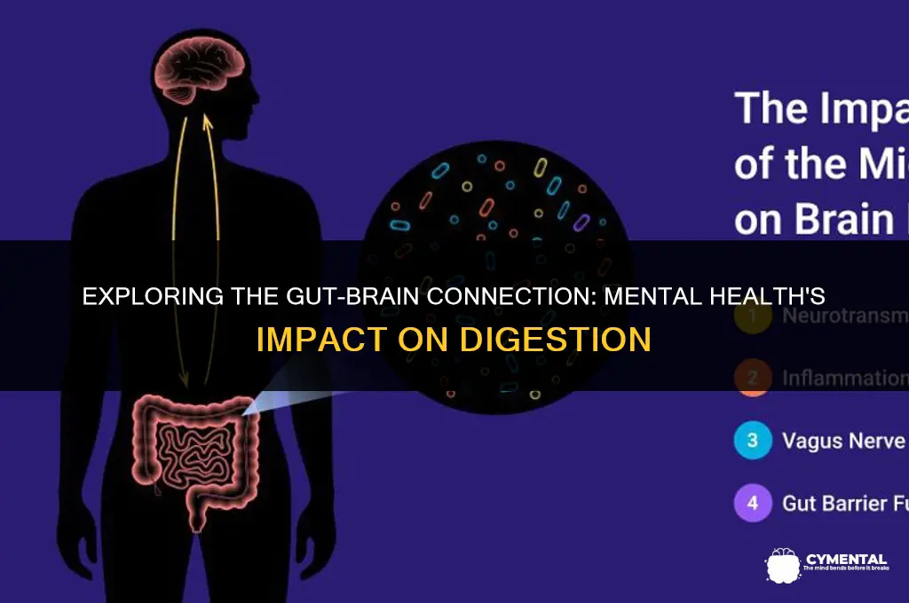 can mental health affect digestive system