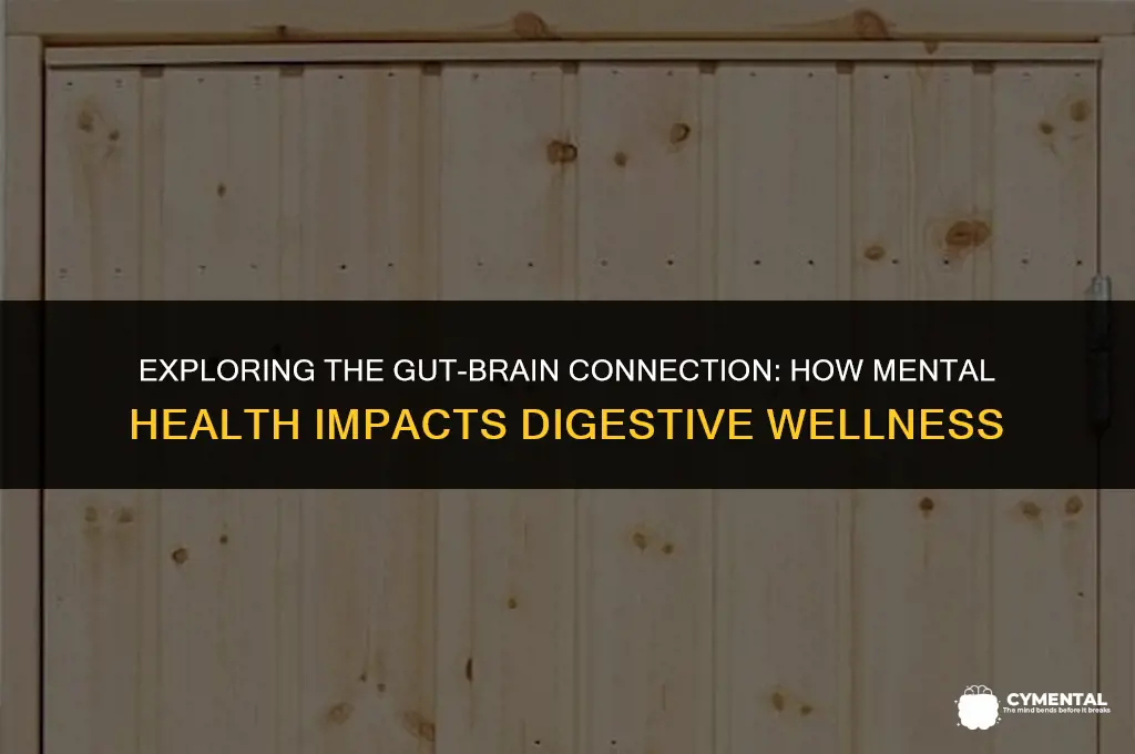 can mental health affect stomach