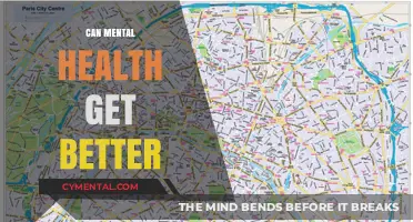 Exploring the Path to Mental Wellness: Can It Get Better?