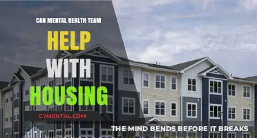 Mental Health Teams: A Housing Support Solution for Vulnerable Individuals