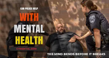 Police and Mental Health: Effective Support or Limited Role?