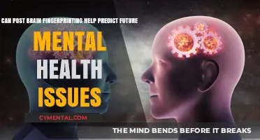 Brain Fingerprinting: Predicting Mental Health Risks Before Symptoms Appear?