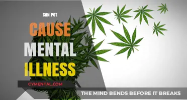 Exploring the Link Between Cannabis Use and Mental Health