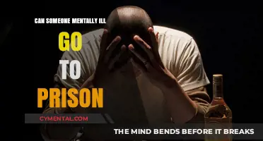 Incarceration and Mental Illness: A Complex Intersection