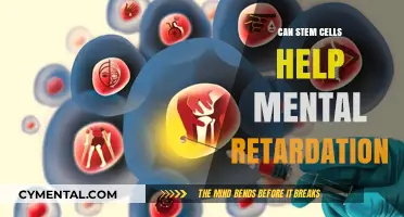 Stem Cells and Mental Retardation: Exploring Potential Therapies and Hope