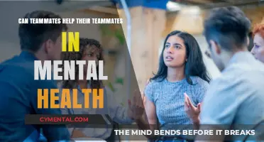 Supporting Teammates: The Role of Peer Support in Mental Health