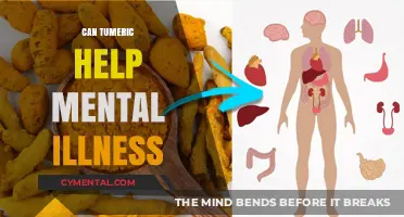 Turmeric's Potential Role in Supporting Mental Health and Wellness