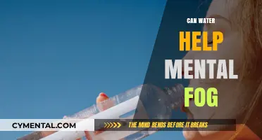 Hydration and Clarity: Can Water Clear Mental Fog Effectively?