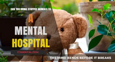 Comfort in Care: The Role of Stuffed Animals in Mental Health Hospitals
