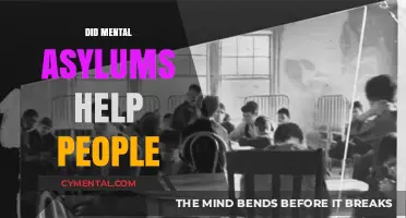 Did Mental Asylums Truly Aid Recovery or Cause Harm?