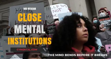 Reagan's Legacy: The Impact on Mental Health Institutions