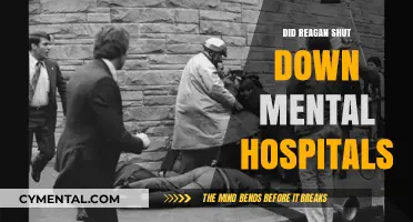 Reagan's Impact on Mental Health Care: The Closure of Hospitals