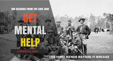 Civil War Soldiers: Mental Health Support and Its Historical Context
