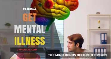 Exploring the Minds of Our Furry Friends: Do Animals Experience Mental Illness?