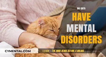 Exploring Feline Psychology: Do Cats Experience Mental Disorders?