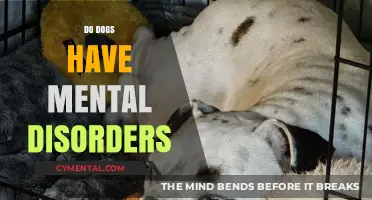 Exploring Canine Mental Health: Do Dogs Experience Disorders?