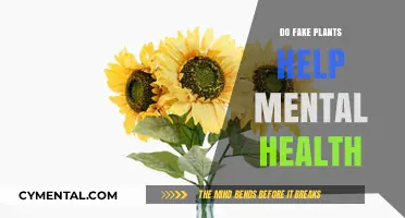 Fake Plants and Mental Health: Uncovering the Surprising Benefits