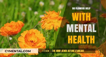 Blooming Benefits: How Flowers Positively Impact Mental Health and Well-being