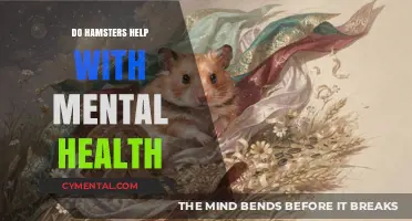 Hamsters as Emotional Support: Boosting Mental Health and Well-Being