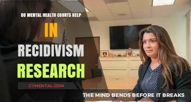 Mental Health Courts: Reducing Recidivism Through Supportive Justice Approaches