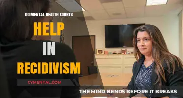 Mental Health Courts: Reducing Recidivism Through Supportive Justice Approaches