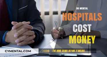 Understanding the Financial Aspects of Mental Health Care: Do Mental Hospitals Cost Money?