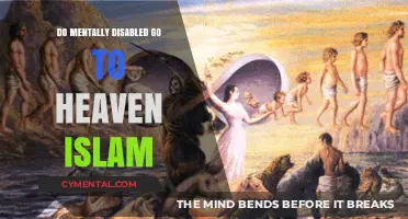 Understanding Islamic Perspectives on Mental Disability and the Afterlife