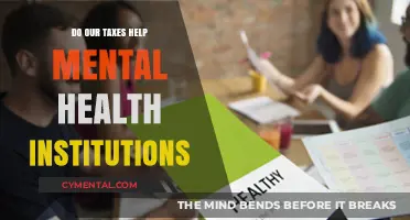 Tax Dollars and Mental Health: Funding Institutions for Better Care?