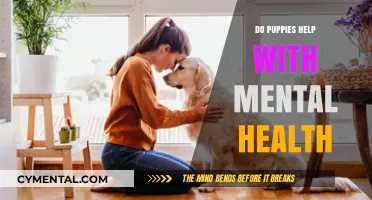 Puppies and Mental Health: How Canine Companions Boost Well-being