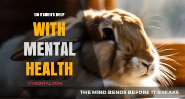 Hop to Happiness: How Rabbits Can Boost Your Mental Health