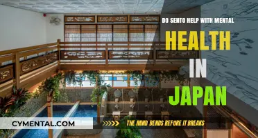 Sento's Soothing Embrace: Exploring Japan's Public Baths for Mental Wellness