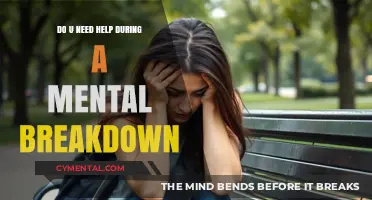 Seeking Support: Navigating Mental Breakdowns and Finding Help