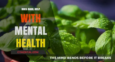 Basil's Mental Health Benefits: Exploring Nature's Calming Herb