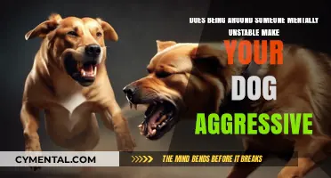 Can Mentally Unstable Humans Influence Dog Aggression?