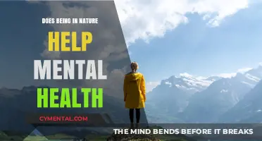 Nature's Healing Power: Boosting Mental Health Through Outdoor Connection