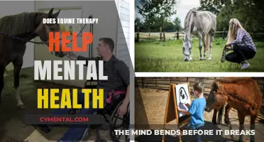 Equine Therapy: A Powerful Tool for Mental Health Healing?