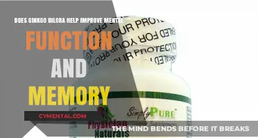 Ginkgo Biloba: Enhancing Mental Function and Memory – Fact or Fiction?