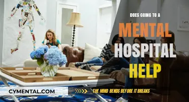 Mental Hospitals: Effective Treatment or Temporary Relief?