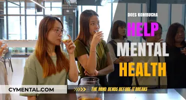 Kombucha and Mental Health: Exploring the Potential Benefits and Science