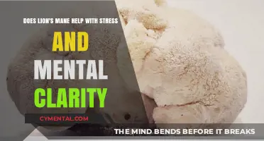 Lion's Mane for Stress Relief and Mental Clarity: What Research Says