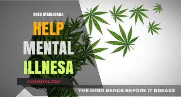 Marijuana and Mental Health: Exploring Potential Benefits and Risks