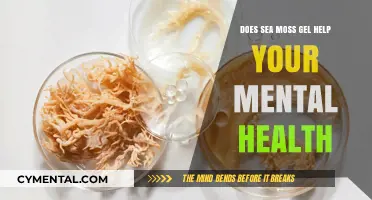 Sea Moss Gel: A Natural Boost for Mental Health?