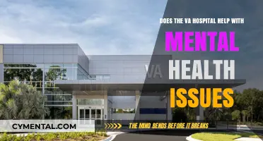 VA Hospital Mental Health Support: Effective Care for Veterans' Well-being?