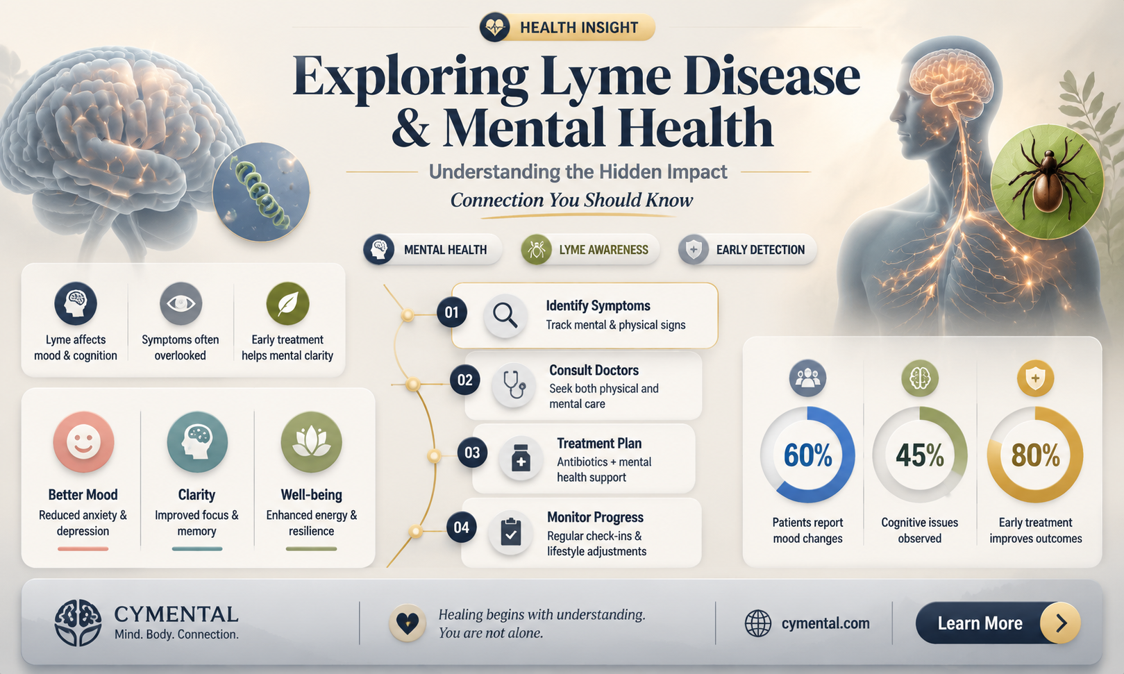 can lyme disease cause mental illness