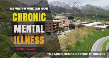Public vs. Private Care: Which Better Supports Chronic Mental Illness?
