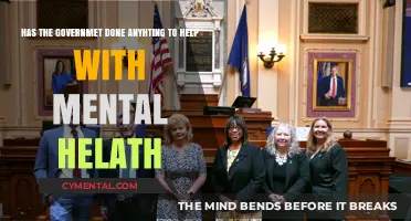 Government's Role in Mental Health: Progress, Challenges, and Future Steps